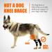 NeoAlly Dog Braces for Back Legs with Dual Metal Spring Inserts - Large, 1 Pair - Buy Online on GoSupps.com