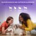 NasalGuard Pet Lovers Allergy Relief Gel - Drug-Free, Made in USA, Non-Irritating, Moisturizing (Unscented 10g) - Buy Online on GoSupps.com