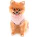 Shop Smalllee Lucky Store: Cozy Sherpa Fleece Sweater Vest for Small Dogs & Cats - Warm Turtleneck Apparel for Autumn/Winter in Pink - Buy Online on GoSupps.com