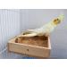 Bird Parrot Wooden Feeding Cups Natural Wooden Parrot Bird Perch Stand Birds Food Dish Bird Cage Food Standing Feeding Perch Bowl Toy for Small Animal Parrot Rat Parakeet Budgies Love Birds 7.87 5.9 Inches - Buy Online on GoSupps.com