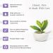 Sunaroma Lavender Soap with Shea Butter & Vitamin E - Nourishing Oil Soap (Pack of 1) - Buy Internationally - Buy Online on GoSupps.com