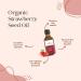 Strawberry Seed Oil - 100% Natural Cold Pressed Carrier Oil for Skin, Hair, Face, Lip, and Nails Care - Aromatherapy & Massage Oil - Essential Oil for Yoga, Sleep, Diffuser - 3.4 Oz - Buy Online on GoSupps.com