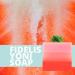 Fidelis Yoni Soap Bar (2 Pack) - 3.5 Oz pH Balanced V Clean Natural Feminine Wash (Strawberry) - Buy Online on GoSupps.com