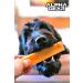 Alpha Grear Yak Cheese Dog Favourite Chews. Original All-Natural Chews for Dogs. 4 Medium Sticks Long Lasting odorless and Great for Oral Health (4 Sticks Medium) 1 count (Pack of 4) - Buy Online on GoSupps.com