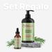 Mielle Rosemary Mint Strengthening Shampoo & Scalp Oil Gift Set - Best Deal for Stronger Hair & Scalp Care - International Shipping Available - Buy Online on GoSupps.com