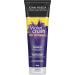 John Frieda Violet Crush Intense Brass Fighting Duo Intense Purple Shampoo + Conditioner Set with crushed violet pigments | Hair Toner for Brass in natural colour-treated and platinum blonde hair - Buy Online on GoSupps.com