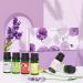 ASAKUKI Floral Essential Oils Set - Jasmine, Ylang Ylang, Rose, Lavender, Cherry Blossom, Gardenia - 10ml Premium Fragrance Oil for Aromatherapy, Hair Care, Candle & Soap Making - Buy Online on GoSupps.com
