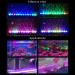 PULACO 2 Watt Aquarium Air Stone with Color Changing LED Light - 10 Length for Small Fish Tanks - Buy Online on GoSupps.com