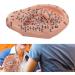 Buy Versatile Ear Acupuncture Model - PVC with Clear Lettering | Soft & Flexible for Home Lessons - International Shipping Available - Buy Online on GoSupps.com