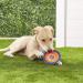Chuckit Zipflight Amphibious Flying 6-Inch Ring Dog Fetch Toy Small - 2 Pack - Buy Online on GoSupps.com