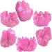 Nupuyai Titanium Coated Pink Bergkristall Druse - Irregular Quartz Geode Gemstone for Reiki & Feng Shui Decoration - Buy Online on GoSupps.com