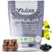 Gummies Shilajit Pur Bio en sachet Shilajit Himalaya Boost m tabolisme Libido et Energie Acide Fulvique Soutien Immunitaire pour hommes et femmes compl ment alimentaire 100% Naturel