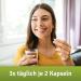 Refigura Interval Capsules - Optimize Intermittent Fasting with Glucomannan Zinc & Green Tea - Vegan Dietary Supplement - 160 Glass Capsules + Free E-Book - Buy Online on GoSupps.com