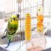 Bubuyun 2PCS Parrot Basket Bird Foraging Toy Parrot Feeder Skewer Hanging Parrot Feeder Stainless Steel Bird Skewer for Parrot Bird(26.5 4.5cm Silver) - Buy Online on GoSupps.com