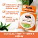 Palmer's Cocoa Butter Formula Tummy Butter For Stretch Marks 4.4-Ounce by Palmer's - Buy Online on GoSupps.com