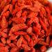 Chinese Wolfberry Goji Berry Matrimony Vine Organic& Sun-Dried wolfberry Lycium Chinensis Chinese Wolf Berry Wolfberry Dried Wolfberry Gouqi Berry Goqi Natural Wolfberry 16oz - Buy Online on GoSupps.com