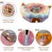 HOMEYA Cat Dog Tunnel Bed with Mat | Collapsible 3 Way Cat Tube Condo Play Toy | Peek Hole & Fun Ball | Indoor Outdoor Interactive Hideout Exercising House | Toys for Pet Kittens Kitty | Multi-colored Full-Moon - Buy Online on GoSupps.com
