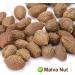 PlantGift Malva Nut 125G/4.4oz Dried Sterculia Lychnophora Dried Pangdahai Chinese Health Tea - Buy Online on GoSupps.com