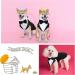 Dog Tuxedo and Bandana Set - Formal Wedding Party Suit with Bow Tie Shirt (Cute Style XXL) - Buy Online on GoSupps.com