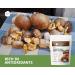 Kate Naturals Organic 7 Mushroom Blend Powder (2oz) - Immune Support & Energy Booster | Rich in Vitamins, Minerals & Antioxidants - Buy Online on GoSupps.com
