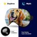Light-Blocking Golden Retriever Eye Mask | Soft Coconut Tree Sleep Mask for Men & Women | Adjustable Comfortable Blindfold - Buy Online on GoSupps.com