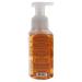 Shop Peach Bellini Hand Soap by Bath & Body Works - 8.7 oz | International Shipping Available - Buy Online on GoSupps.com