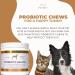 PetScy Probiotic Chews for Dogs | Prebiotic Fiber & Omega-3 | Improves Skin, Coat & Gut Health | 30 Chews - Buy Online on GoSupps.com