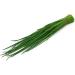 Highest quality pumpkin from Germany Spices chives of the highest quality Reduced seeds Polyethylene bucket 450g - Buy Online on GoSupps.com