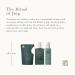 RITUALS Hand Wash And Hand Cream Gift Set With Soap Refill from The Ritual of Jing 775 ml - With Sacred Lotus Jujube & Chinese Mint - Relaxing & Calming Properties - Buy Online on GoSupps.com