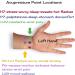 Acupressure Bracelets for Motion Sickness - Stylish Anti-Nausea Wristbands Adjustable Closure Natural Travel Relief (Rainbow XL - Buy Online on GoSupps.com