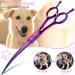 Jason Profi Curved Dog Scissors - 7.5 Japanese Stainless Steel Pet Fur Care Scissors (Purple) for Professional Grooming - Buy Online on GoSupps.com