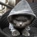 Lifewheel Dog Coat & Sweater - Warm Winter Clothing for Small Dogs & Cats Hooded Design (Gray Medium) - Buy Online on GoSupps.com