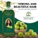 Dabur Natural Amla Hair Oil 180ml - Healthy Hair & Hydrated Scalp | Vital Indian Hair Oil for Men & Women - Shop Now - Buy Online on GoSupps.com