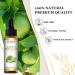 EUQEE Lime Essential Oil 10ml Pure Natural Lime Oils Aromatherapy Essential Oils for Diffusers for Home Relax Humidifiers Lime 10.00 ml (Pack of 1) - Buy Online on GoSupps.com