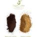 Organic Enema Coffee 1kg | 100% Robusta | Ultra Light Gold Roast | Fine Grind | Organic Coffee Cleanse Co - Buy Online on GoSupps.com