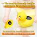 Digital Baby Bath Thermometer - Safe Floating Toy for Infant Newborns | Color Warning | Auto ON/Off - Buy Online on GoSupps.com