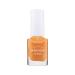 Collection Cosmetics Long Lasting Spotlight Shine Nail Polish Colour 10.5ml Pumpkin Patch Pumpkin Patch 10.5 ml (Pack of 1)