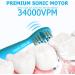 Dinosaur Electric Toothbrush for Kids | Sonic Toothbrush with Timer & Reminder | Rechargeable | Ages 3-12 | 5 Modes | Blue | Includes 4 Brush Heads & Wall-Mounted Holder - Buy Online on GoSupps.com