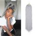 20" One Piece Crochet Faux Locs Braiding Hair Extension Synthetic Hair Braids Soft Heat Resistant For Women - Grey(Weight:100g) 20" Grey