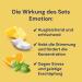 Spitzner Sauna Infusion Set Emotion - 3 x 190 ml | Pineapple Coconut Orange & Lemongrass Basil | Wellness Experience for International Shipping - Buy Online on GoSupps.com