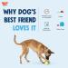 Buy Zogoflex West Paw Toppl Toy 10cm Green - Durable Pet Toy for Dogs | International Shipping Available - Buy Online on GoSupps.com