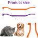 Double-Sided Cat Toothbrushes - 2 Pack Kitten Dental Care Brush with Microbe Head & Curved Handle - Purple & Orange - Buy Online on GoSupps.com
