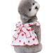 Shenrongtong Puppy Dresses for Small Dogs | Cute Strawberry Print Dog & Cat Clothing | Stylish Litter Clothes for Girls - Buy Online on GoSupps.com