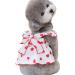 Shenrongtong dog dresses for small dogs girls dog dresses for girls |Pet rock litter dresses |Puppy dress dog clothing cat clothing sweet dog dresses with strawberry printing for white XS