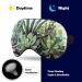 Succulent Sleep Eye Mask for Women Men - Elastic Strap for Sleep, Travel, Nap - Buy Online on GoSupps.com