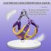 Rennaio No Pull Dog Harness & Adjustable Puppy Dishes Set - Ultra Comfortable Leash for Small & Medium Dogs (Purple Size S) - Buy Online on GoSupps.com