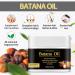 Batana Hair Oil - 100% Natural Batana Oil for Hair Growth Prevents Hair Loss Restores & Thickens Hair | Organic Serum for Men & Women - Buy Online on GoSupps.com