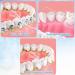 4 Pack Replacement Jet Tips for Water Flossers & Oral Irrigators - Buy Online on GoSupps.com