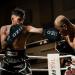 Yazizo Boxing Gloves Sparring & Muay Thai Mitts - Black/White 12oz - Buy Online on GoSupps.com