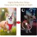 Heele Adjustable Reflective Dog Harness for Small & Medium Dogs - Breathable Soft Mesh Comfortable Fit Red 2XS - Buy Online on GoSupps.com